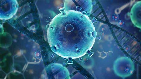 精品国产乱码久久久人妻