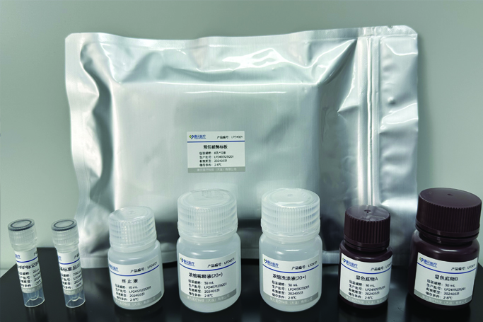 精品国产乱码久久久人妻