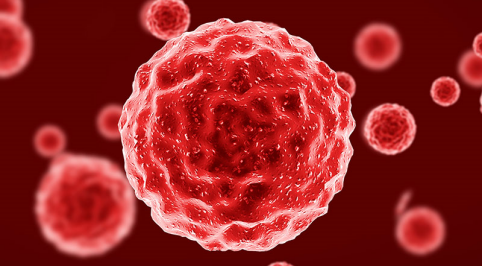 精品国产乱码久久久人妻