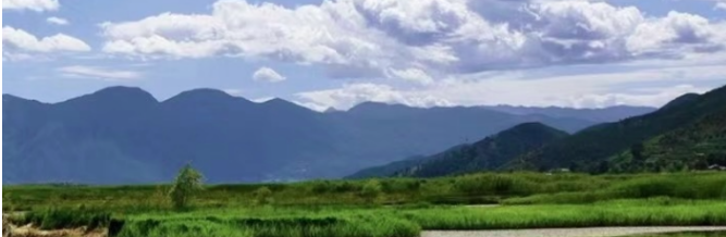 精品国产乱码久久久人妻