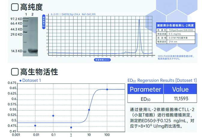精品国产乱码久久久人妻