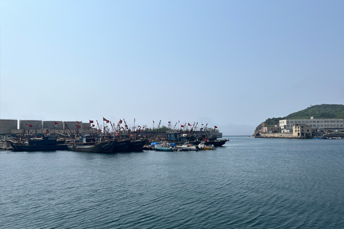 精品国产乱码久久久人妻