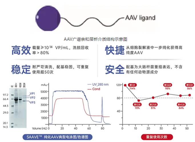 精品国产乱码久久久人妻